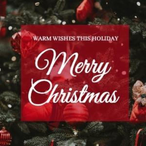 WARM WISHES THIS HOLIDAY