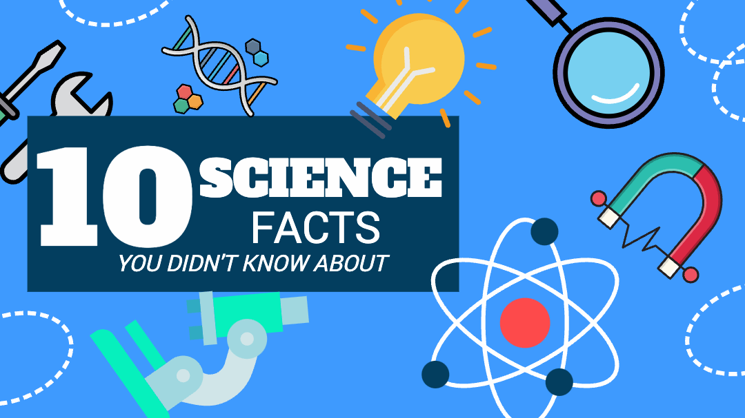 YOU DIDN'T KNOW ABOUT
