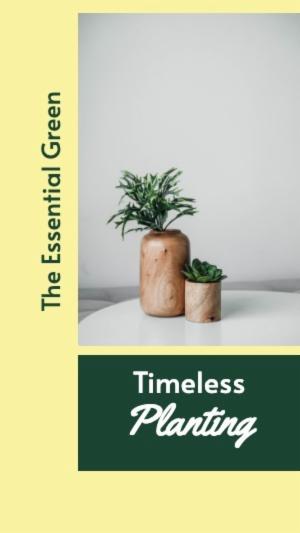 The Essential Green