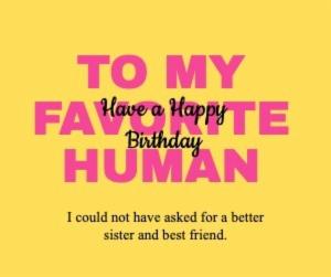 TO MY FAVORITE HUMAN