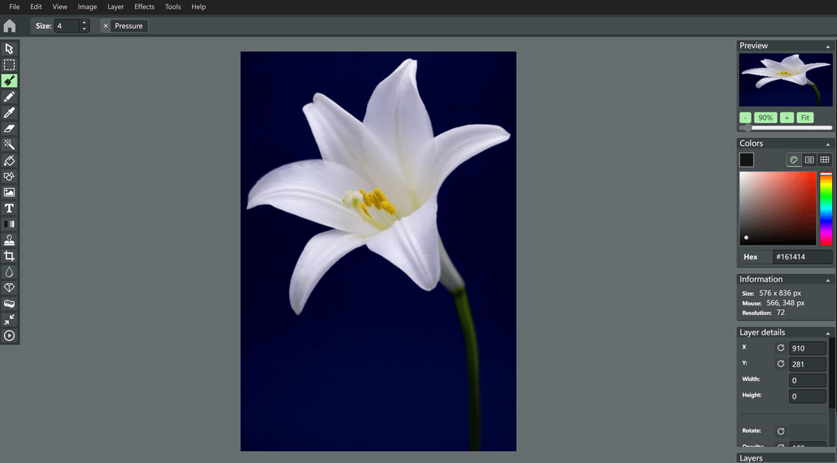 Editor de imagens, Photoshop online